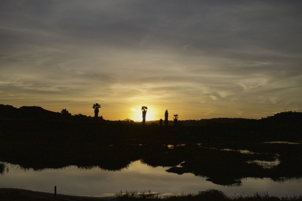 stress reduction strategies - nature over sunset over a body of water