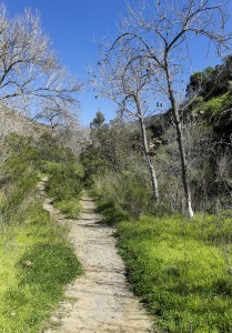 walking path